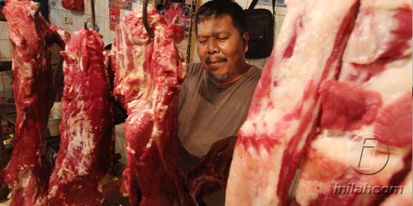 KPK ungkap sepak terjang kartel daging impor
